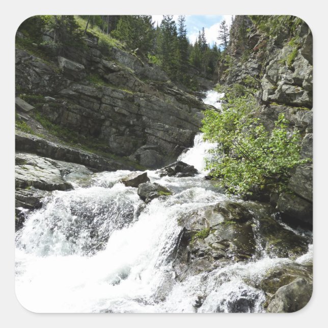 Aster Creek im Glacier National Park Quadratischer Aufkleber (Vorderseite)