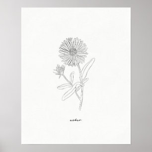 Aster Line Zeichnend Druck - Handgezeichnet Blume Poster