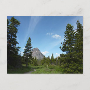 Aster Park Trail im Glacier National Park Postkarte