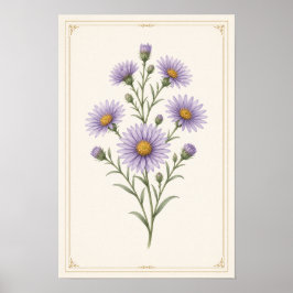 Aster, September Geburtsblumen-Wandkunst-Druck Poster