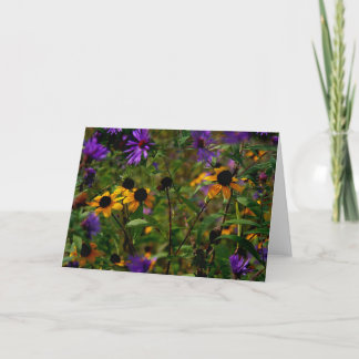 Aster unter Glas Karte
