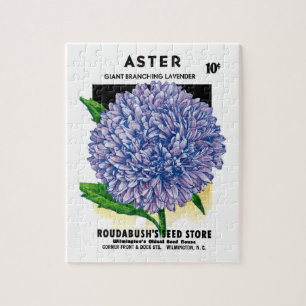 Aster Vintage-Samenpaket