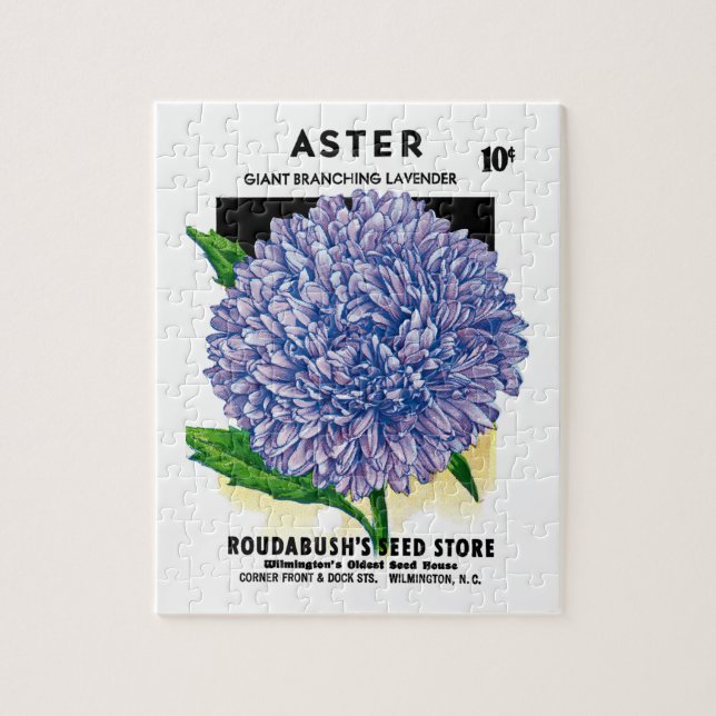 Aster Vintage-Samenpaket (Vertikal)