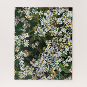ASTERBLUMEN