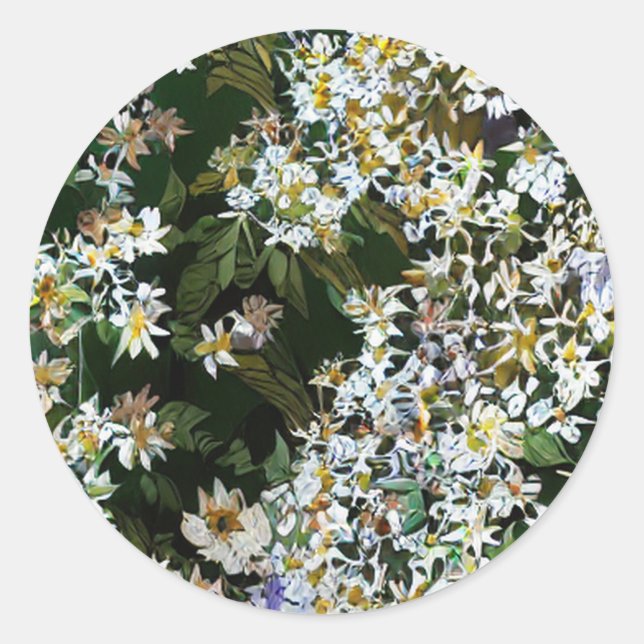 ASTERBLUMEN RUNDER AUFKLEBER (Vorderseite)