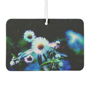 Asters Aglow Autolufterfrischer