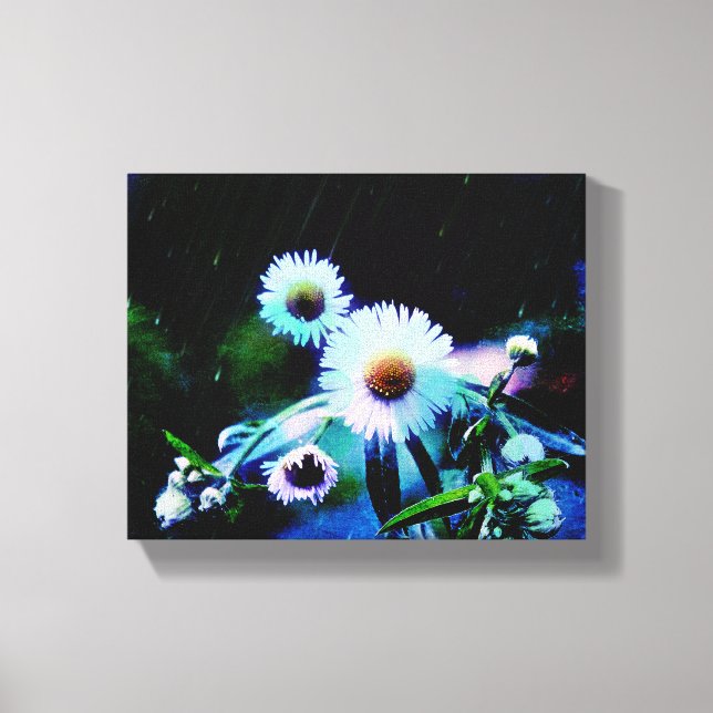 Asters Aglow gepackte Canvas Prints Leinwanddruck (Vorderseite)