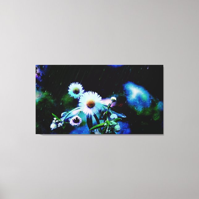 Asters Aglow gepackte Canvas Prints Leinwanddruck (Vorderseite)