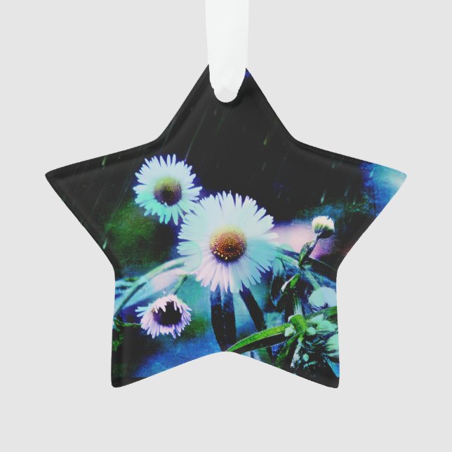 Asters Aglow Star Ornament (Vorderseite)