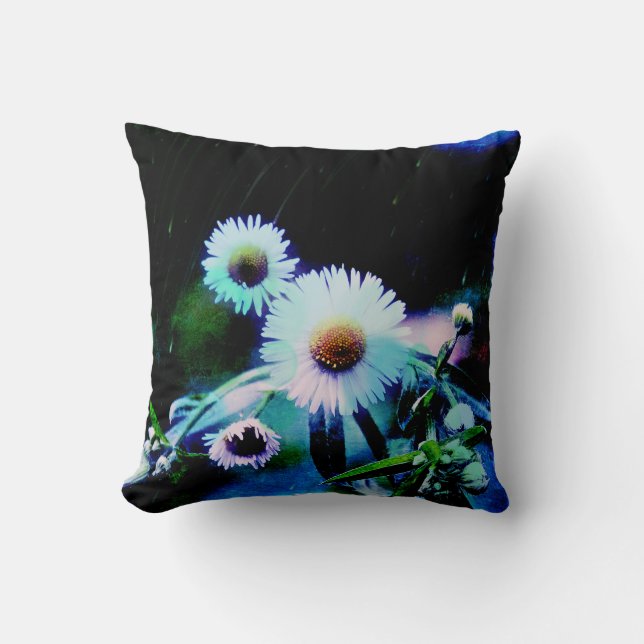 Asters Aglow Throw Kissen (Vorderseite)