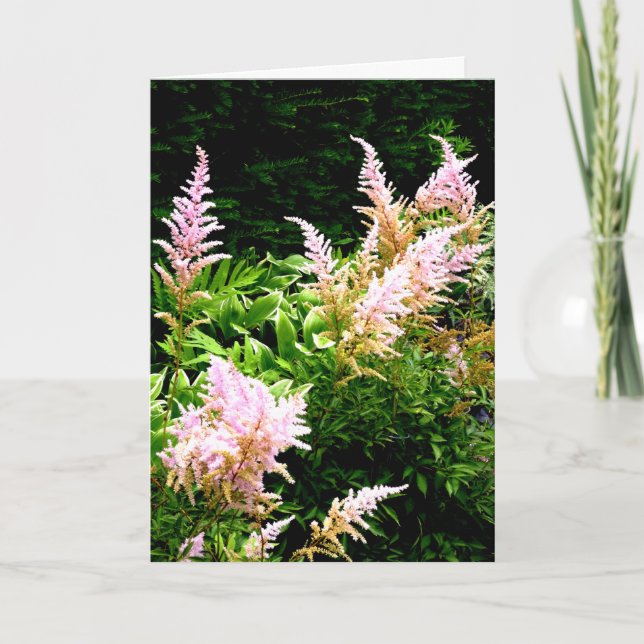 Astilbe Dankeskarte (Vorderseite)