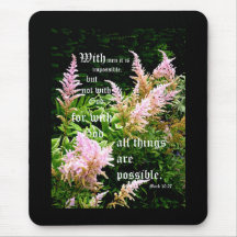 Astilbe mit Mark 10:27