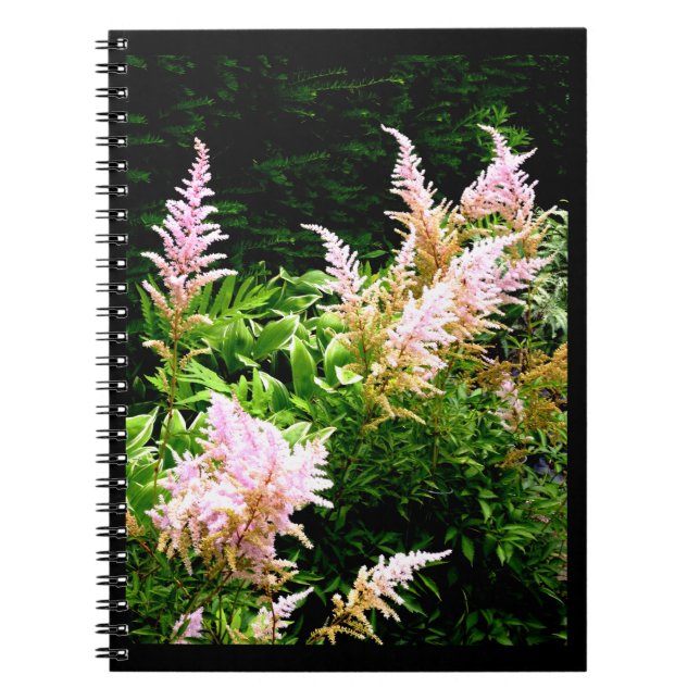 Astilbe Notizblock (Vorderseite)