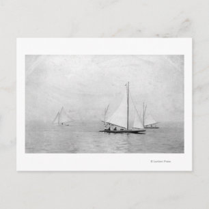 Astoria, Oregon Annual Regatta Sailing Fotograp Postkarte