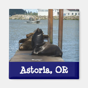 Astoria Oregon Seelöwen Magnet