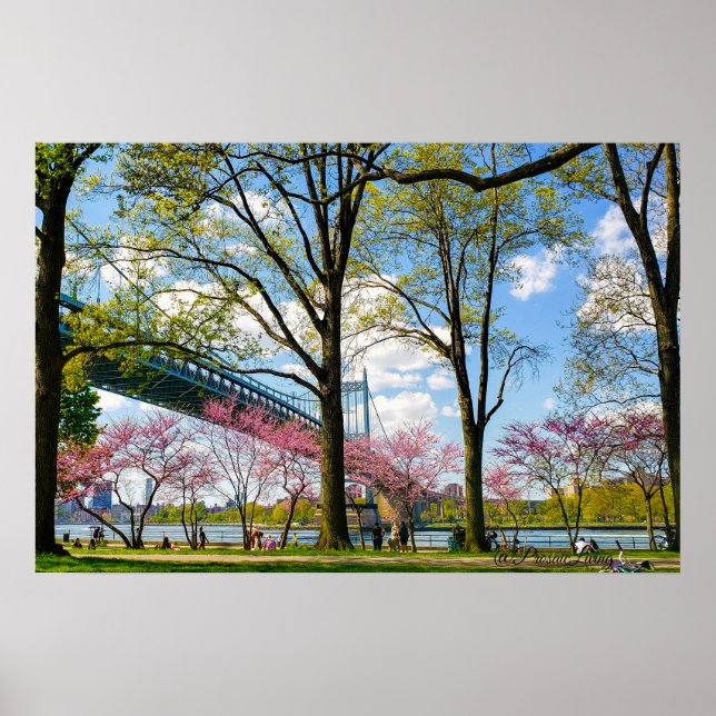 Astoria Park Foto Poster (Vorne)