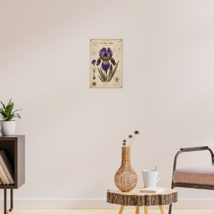 Astral Iris Victorian Botanical Museum Druck Poster