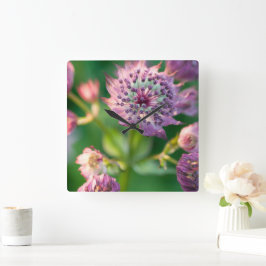 Astrantia-Blume Quadratische Wanduhr