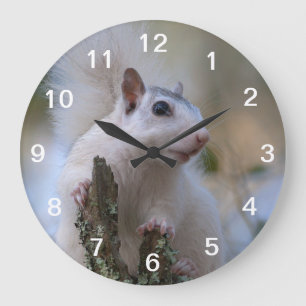 Astronaut Squirrel Große Wanduhr