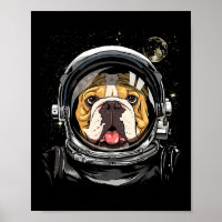 Astronomie des Weltraumamtes American Bulldog Gala