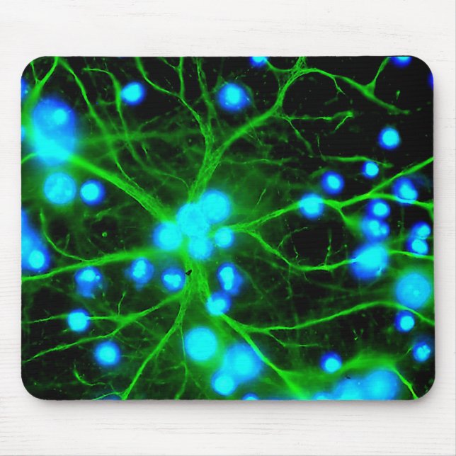 Astrozyten sind sternförmige Glialzellen im Gehirn Mousepad (Vorne)