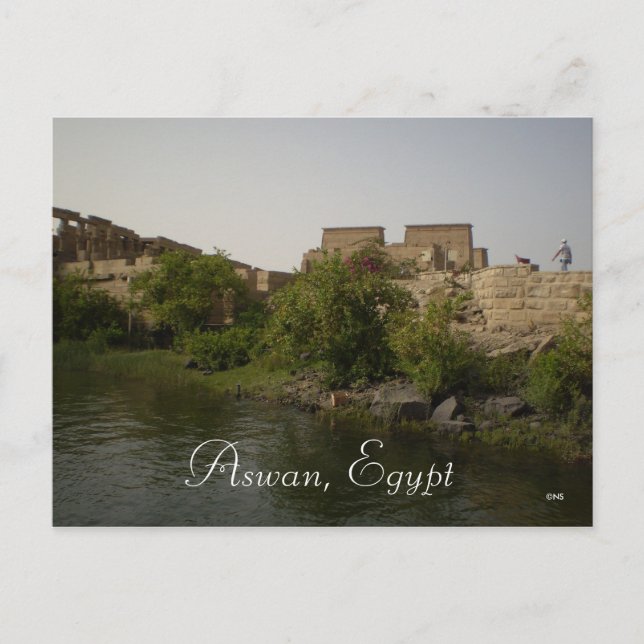 Aswan, Ägypten Postkarte (Vorderseite)