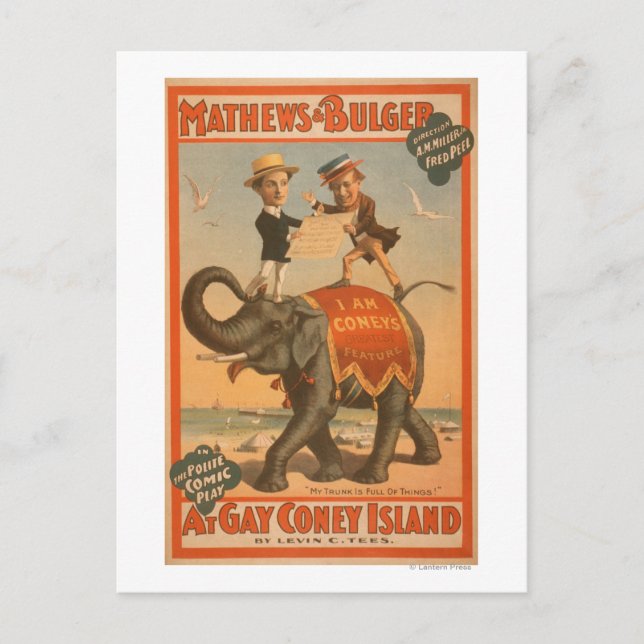 "At gay Coney Island" Musical Comedy Poster #3 Postkarte (Vorderseite)