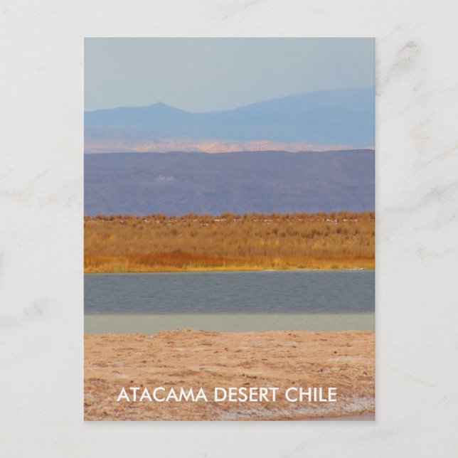 Atacama Wüste, Chile Postkarte Vertikal (Vorderseite)