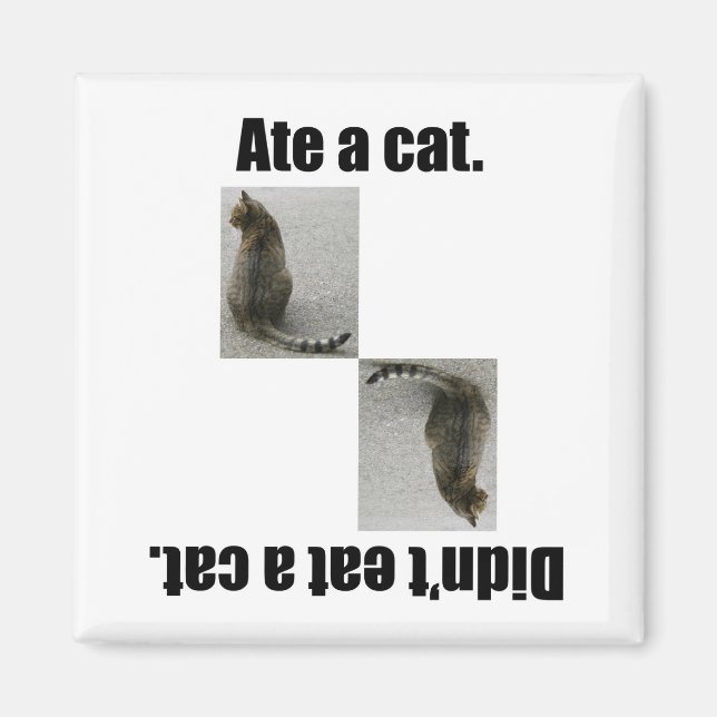 Ate eine Katze. Magnet (Vorne)