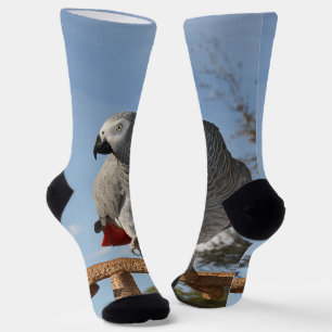 Atemberaubend-Afrikanischer Grauer Papagei Socken