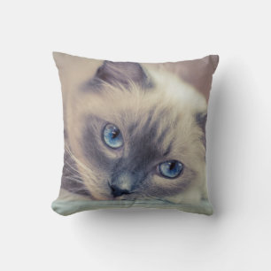 Atemberaubend Blue Mit Augen Ragdoll ‎ Cat Kissen