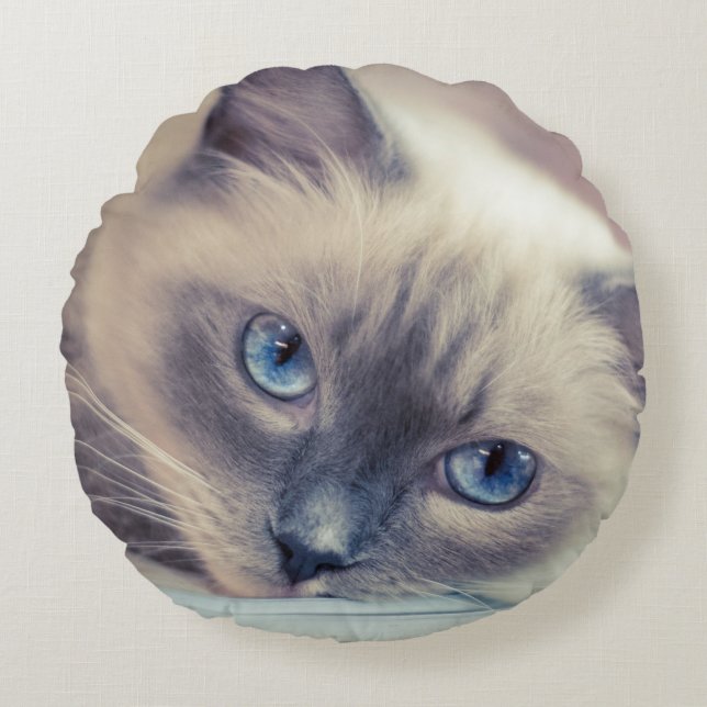 Atemberaubend Blue Mit Augen Ragdoll ‎ Cat Rundes Kissen (Vorderseite)