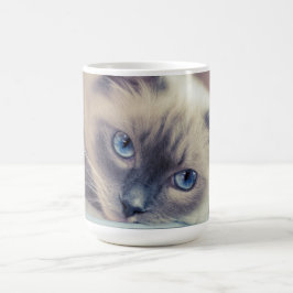 Atemberaubend Blue Mit Augen Ragdoll ‎ Kaffeetasse