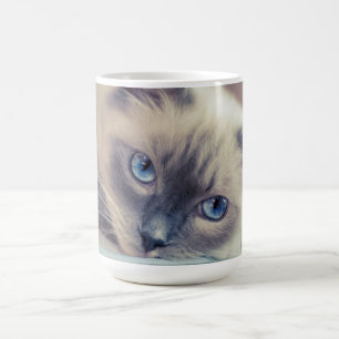 Atemberaubend Blue Mit Augen Ragdoll Kaffeetasse
