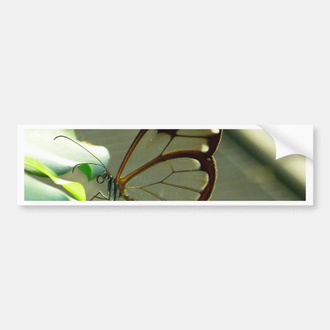 Atemberaubend-braun-glatter Schmetterling Autoaufkleber (Vorne)