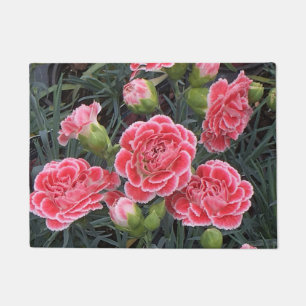 Atemberaubend Dianthus Fußmatte