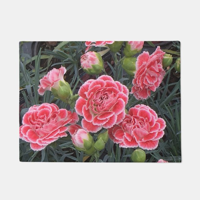 Atemberaubend Dianthus Fußmatte (Vorderseite)