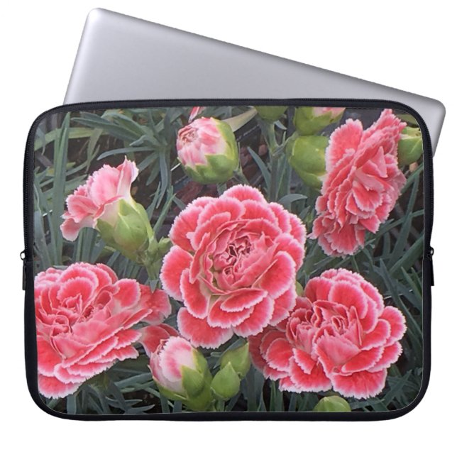 Atemberaubend Dianthus Laptopschutzhülle (Vorderseite)
