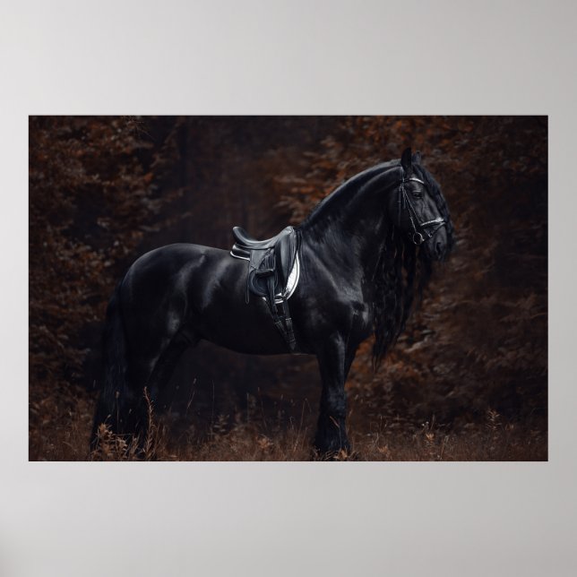 Atemberaubend Elegant Sport Dressage Friesian Stal Poster (Vorne)