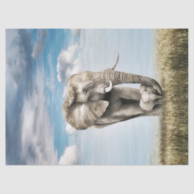 Atemberaubend Elephant Baby Calf Seidenpapier (Vorderseite)