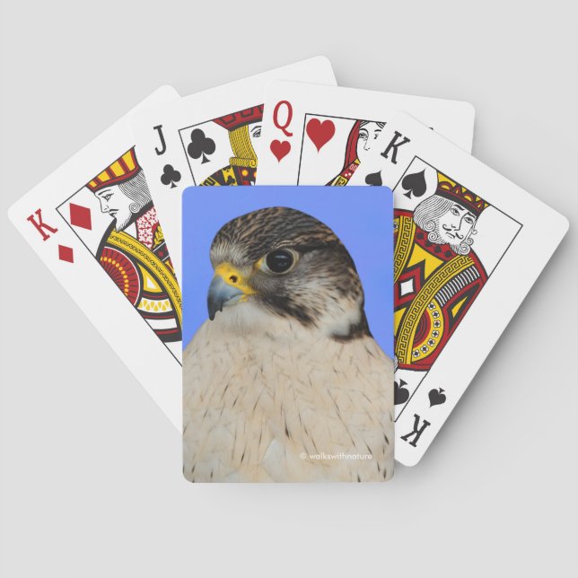 Atemberaubend Gyrfalcon Saker Hybrid Falcon Spielkarten (Rückseite)