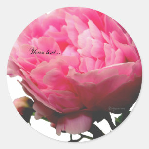 Atemberaubend rosa Peony Custom Umschlag Aufkleber