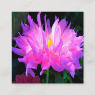Atemberaubend rosa und Lila Kaktus Dahlia Quadratische Visitenkarte