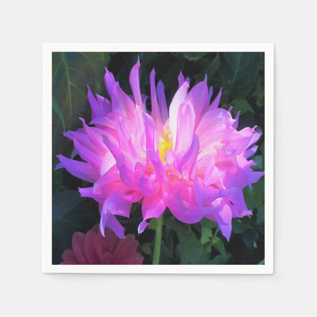 Atemberaubend rosa und Lila Kaktus Dahlia Serviette (Vorderseite)