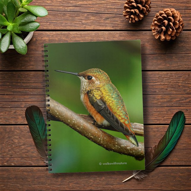 Atemberaubend Rufous Hummingbird auf Twining Vines Notizblock (Stunning Rufous Hummingbird on Twining Vines Journal Cover Photo)
