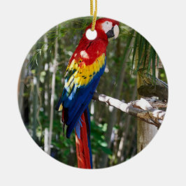 Atemberaubend Scarlet Macaw Parrot Keramik Ornament