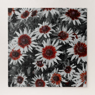 Atemberaubend Schwarz-Mit Augen Susans Jigsaw Puzz