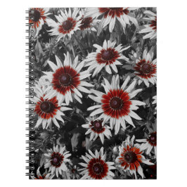 Atemberaubend Schwarz-Mit Augen Susans Spiral-Note Notizblock