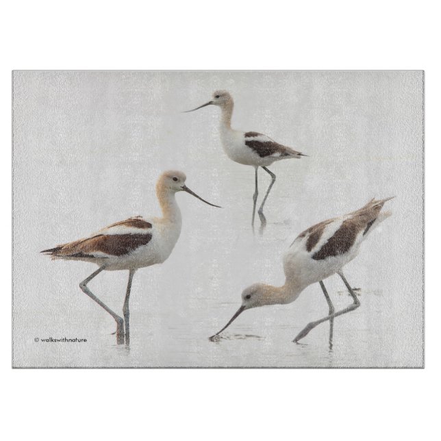 Atemberaubende amerikanische Vögel am Strand Schneidebrett (Vorderseite)
