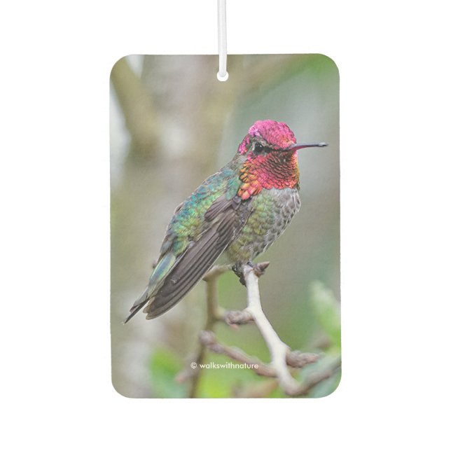 Atemberaubende Anna-Hummingbird im Pflaumenbaum Autolufterfrischer (Vorderseite)